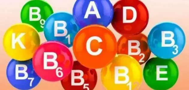 The Best Vitamins for Your Body