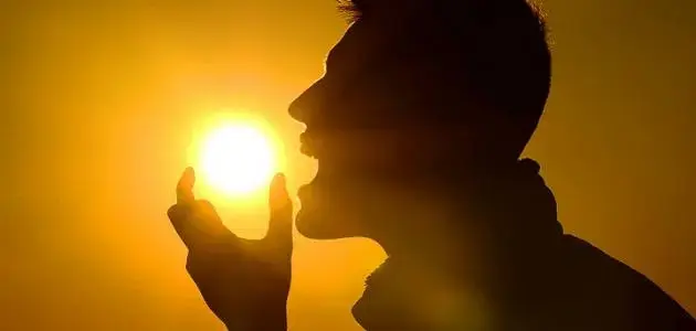 Where to Find Vitamin D3