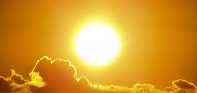 What Vitamin Does the Sun Provide?