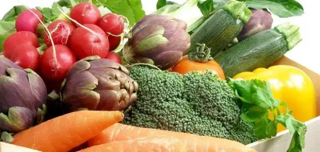 What Is Vitamin B12?