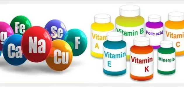 The Most Important Vitamins for Your Body