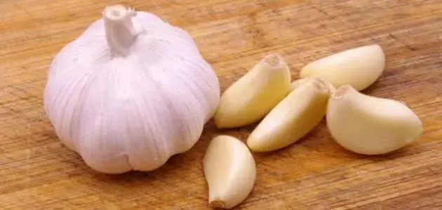 What’s in Garlic?