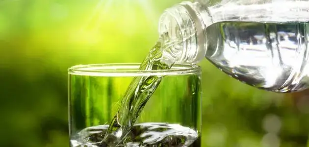 Benefits of Drinking Water for Your Body